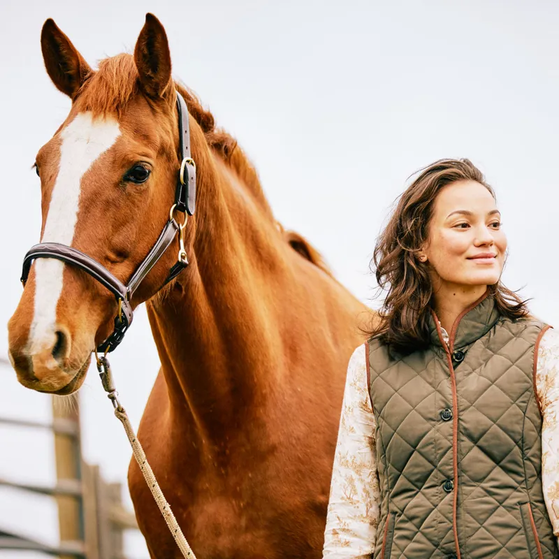 Ariat Country Woodside 2.0 Ladies Quilted Gilet - Earth