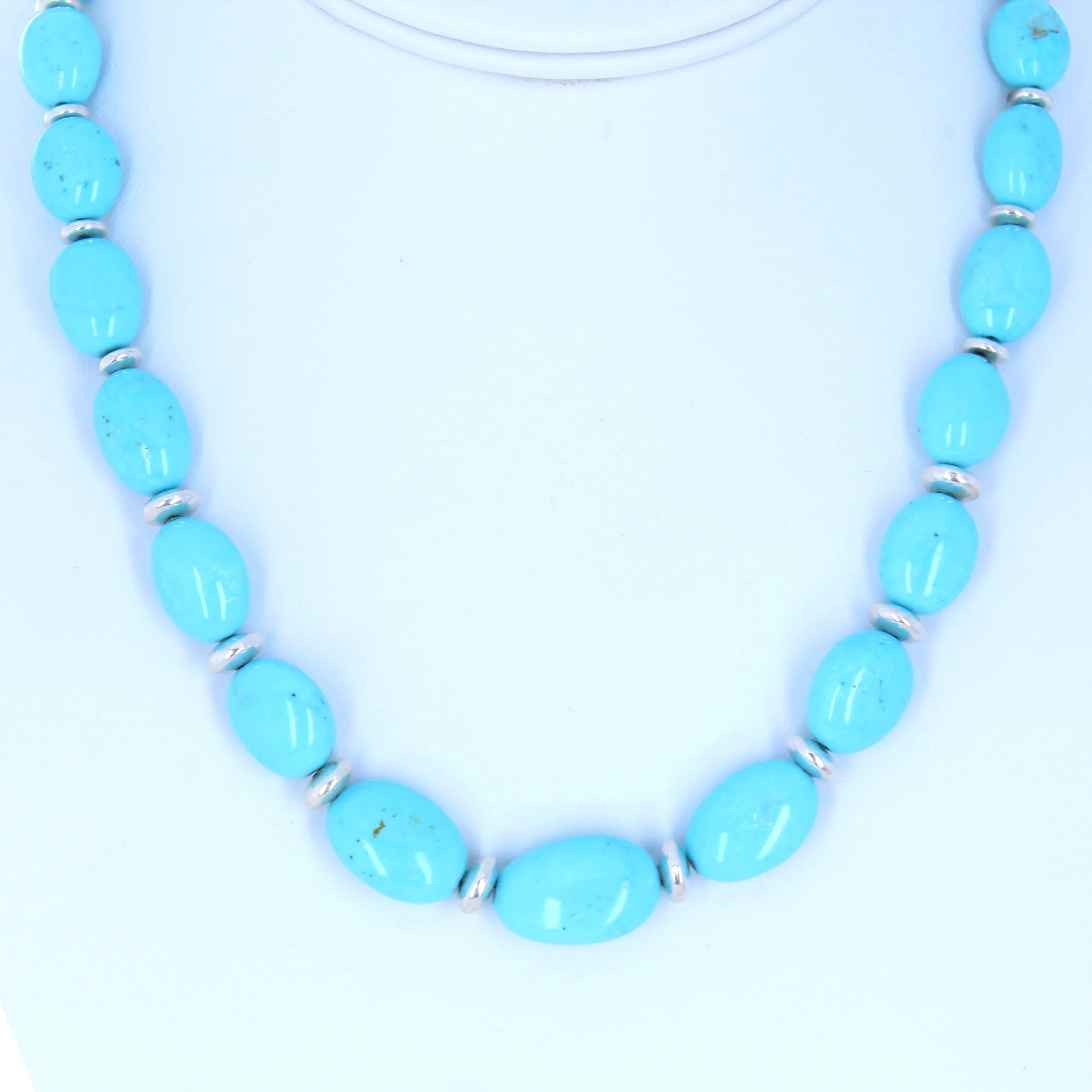 Exquisite Sky Blue Nacozari Turquoise Necklace Southwestern